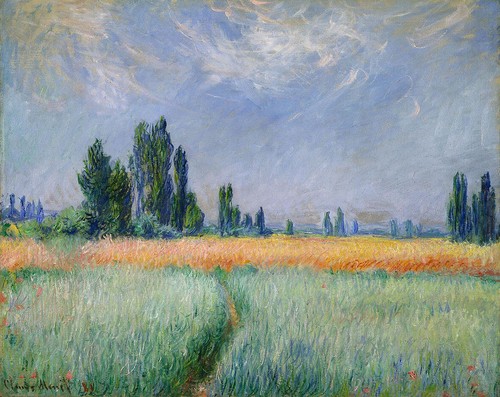 Monet campo grano stampa - ,