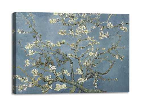 Quadro stampa tela con - quadro,